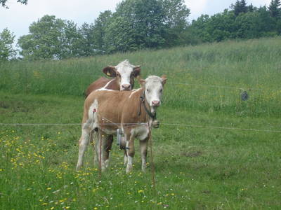 Bild 22 aus Bodensdorfhof