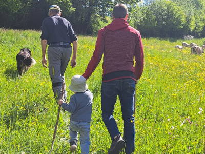 Bild 36 aus  Rotlechner