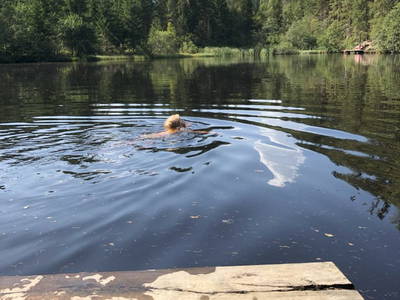 Bild 46 aus  Podolerhof - Hüttenurlaub