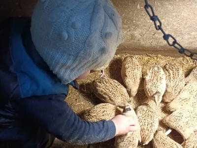 Bild 41 aus  Haus Hagspiel