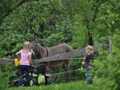 Bild 26 aus  Der Ofenmacherhof  Urlaub am Bauernhof