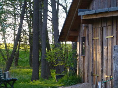 Bild 7 aus  Alte Schule Mechelsdorf - Idylle zw. Rerik und Kühlungsborn - 2,5 km zur Ostsee