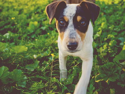 Bild 11 aus  The Hideaway Experience