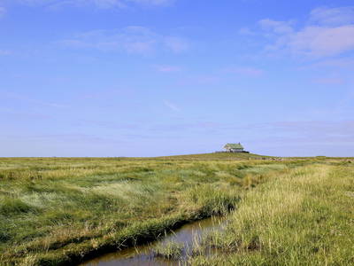 Hamburger Hallig