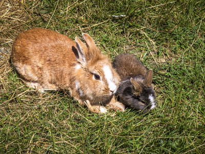 Bild 9 aus  Schaidreithof