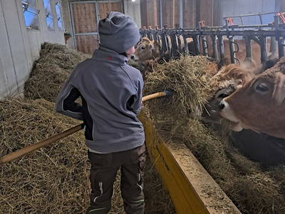 Bild 54 aus  Rotlechner