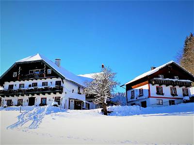 Bild 100 aus Wohlfühlbauernhof Bambichlgut