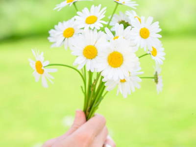 Bild 62 aus  Landhaus Sofie