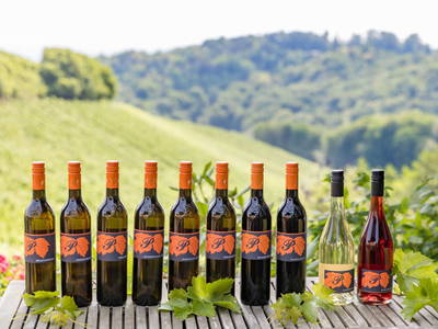 Bild 14 aus  Weingut & Buschenschank Pölzl