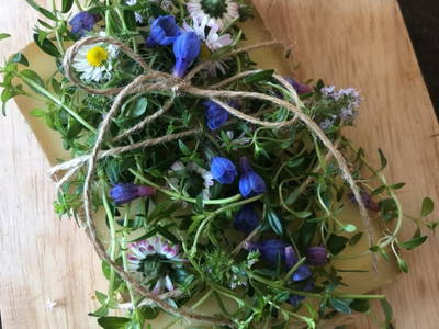 Bild 64 aus  Ascherhof