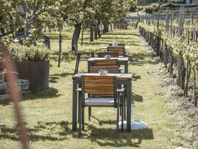 Bild 137 aus  Weingut STRAWANZER Donabaum