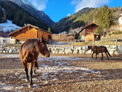 Bild 114 aus  Kassnhof