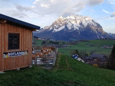 Bild 136 aus  Hüttstädterhof