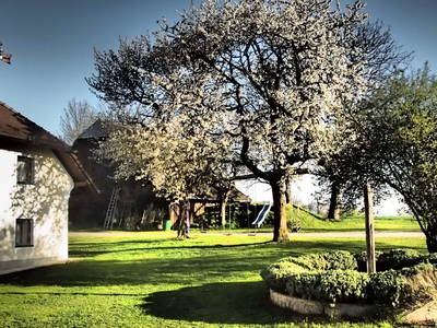 Bild 2 aus  Mauerberger - Das Hofgut 