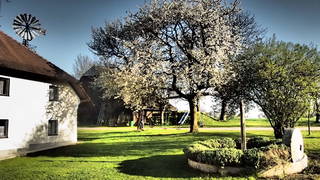 Mauerberger - Das Hofgut  aus Wallern an der Trattnach