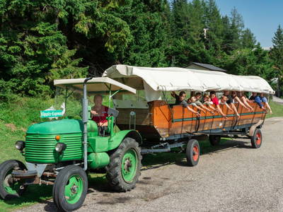 Bild 18 aus  Bischofhütten