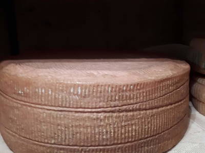 Bild 103 aus  Schwarzenbichlalm