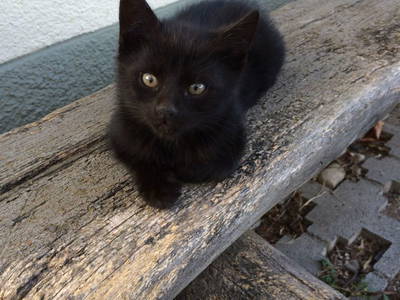 Bild 24 aus  Zwanzgerhof