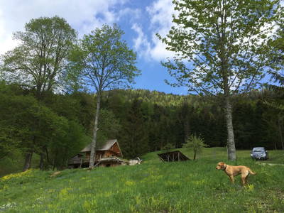 Bild 62 aus  Holzknechthütte