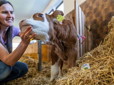 Bild 177 aus  Hagerhof