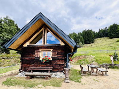 Bild 3 aus  Götzfried Almhütte