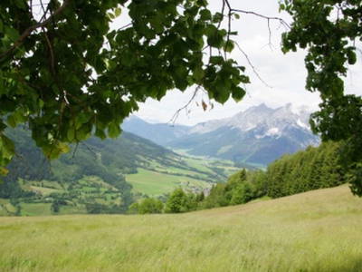 Bild 37 aus  Arnoldhof