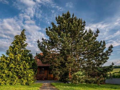 Bild 31 aus  Gästehaus Pointner 