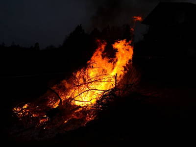 Bild 150 aus  Kleinhofers Himbeernest