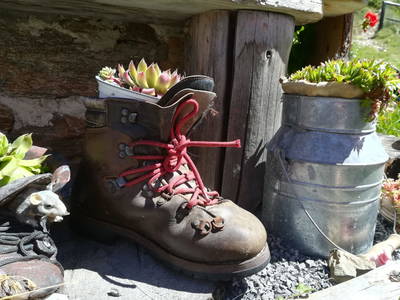 Bild 43 aus  Kinderbauernhof Ierzerhof Pitztal 