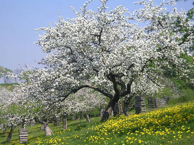 Bild 24 aus  Behringhof am Gamengrund