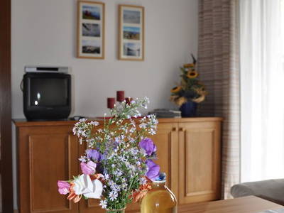 Bild 81 aus  Hoferhof