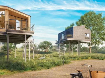 Bild 2 aus  Ostsee Baumhaushotel Schleswig-Holstein