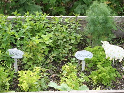 Bild 46 aus  Hinterburghof