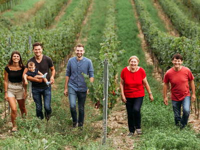 Bild 2 aus  Weingut Pasler