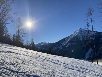 Bild 27 aus  Peterlehen