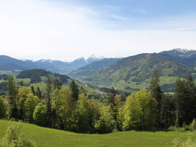 Bild 114 aus  Familienbauernhof Samerhof