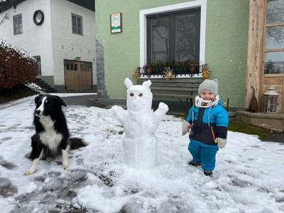 Bild 16 aus  S'Landhäuschen