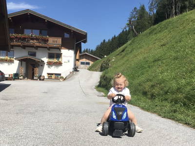 Bild 5 aus  Rieserhof