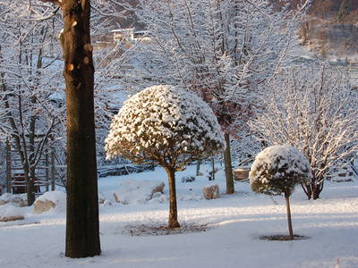 Bild 31 aus  Callhof Biohof