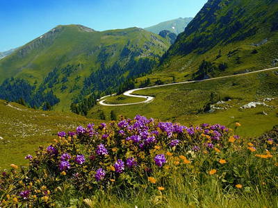 Bild 58 aus  Smiley Fluss Chalet