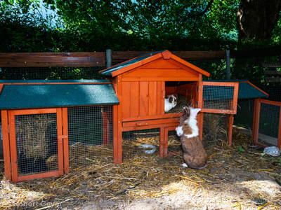 Bild 4 aus  Haus am Kolm