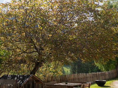 Bild 140 aus  Göttfriedbauer