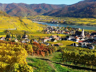 Bild 85 aus  Weingut STRAWANZER Donabaum