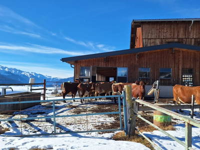 Bild 11 aus  Harlandhof