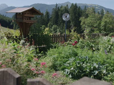 Bild 18 aus  Egglbauer