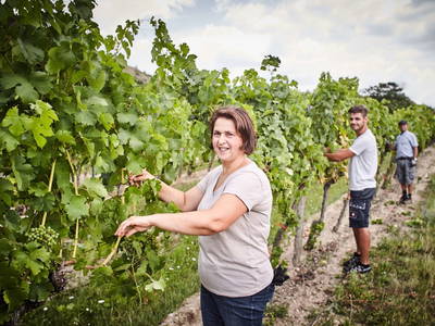 Bild 27 aus  Schmankerl und Gast Heiderer