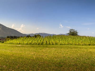 Bild 108 aus  Klinglerbauer