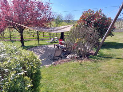 Bild 4 aus  Obst- und Ferienhof - Familie Weishaupt-Steffelin