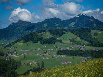 Bild 119 aus  Familie Nußbaumer 