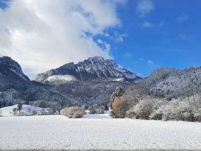 Bild 54 aus  Spitzenhof